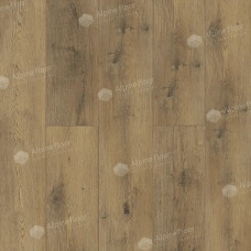 Alpine Floor Premium 12 ECO 24-1 Дуб Альто