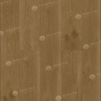 Alpine Floor Premium 12 ECO 24-3 Дуб Эталон