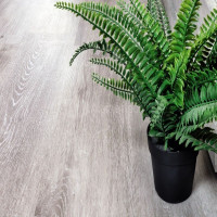 Alpine Floor Classic Collection Ясень Серый ECO 134-5